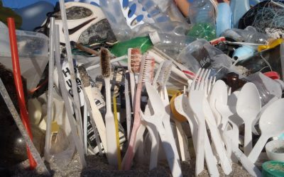 Move away from disposable: cutlery and plates