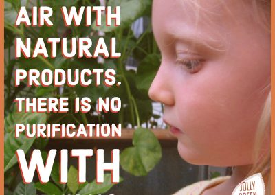 Purify your air with